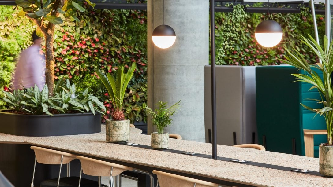 Sustainable office furniture a desk and chairs are shown inside an office with a green wall behind it.